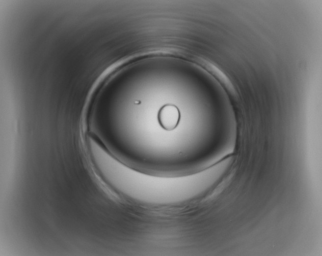 X0000114140940200910081302