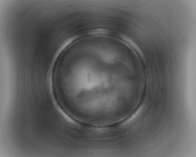 X0000114140941200910081302