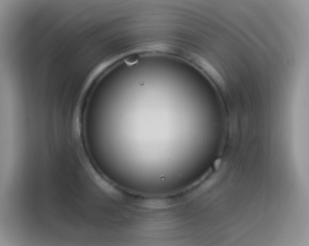 X0000114140944200910081302