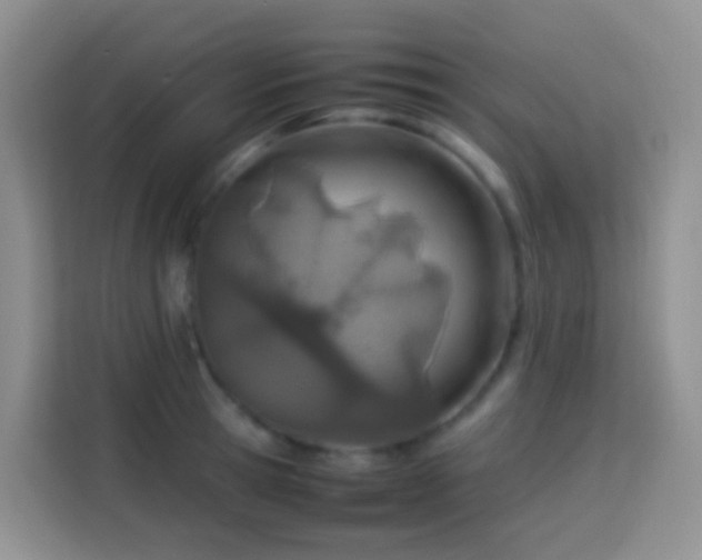 X0000114140945200910081302