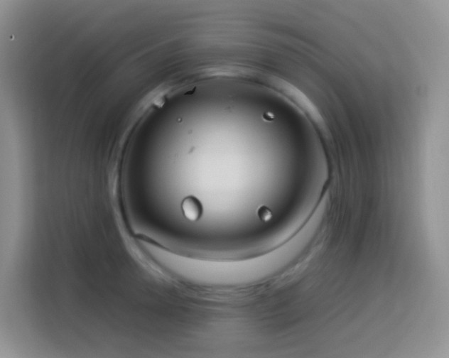 X0000114140946200910081302