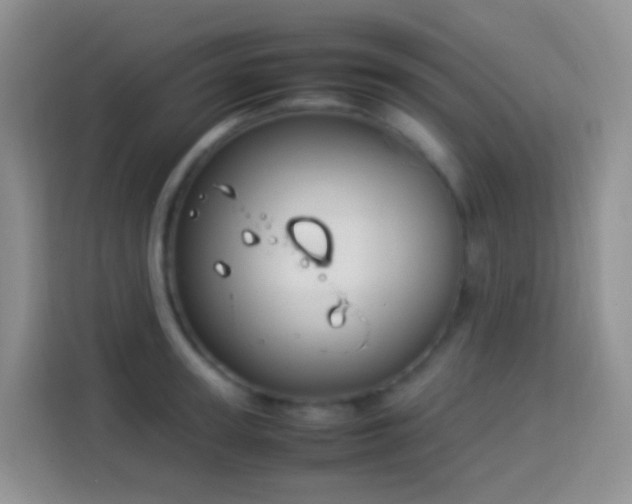 X0000114140947200910081302