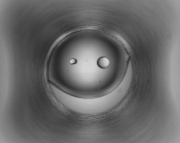 X0000114140948200910081302