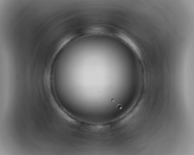 X0000114140949200910081302