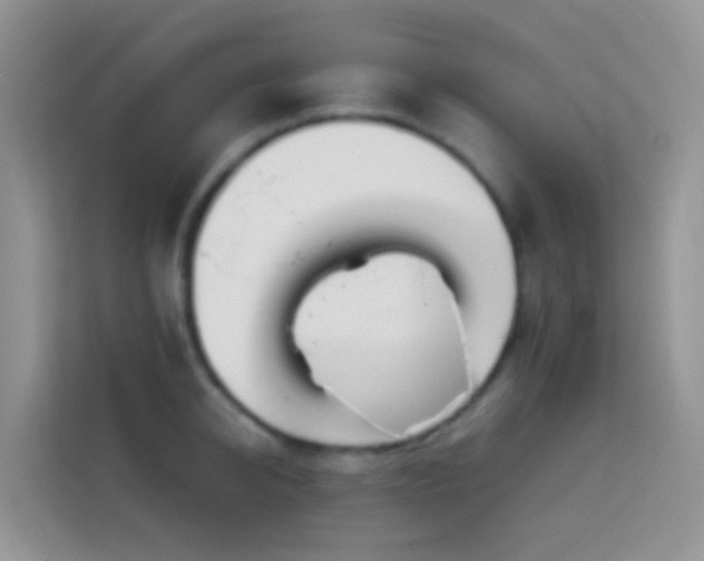 X0000114140950200910081302