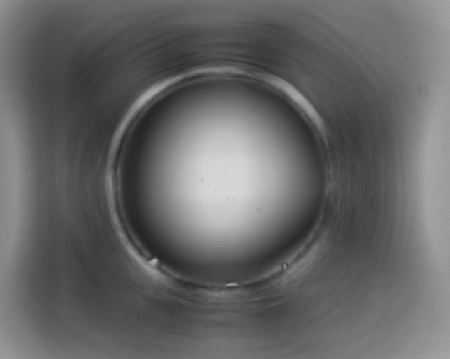 X0000114140951200910081302