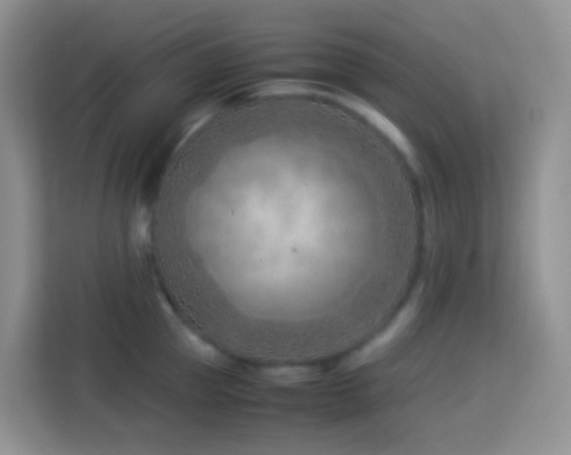 X0000114140953200910081302