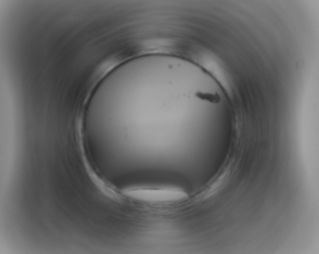 X0000114140954200910081302