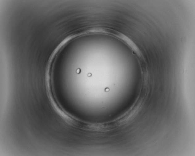 X0000114140955200910081302