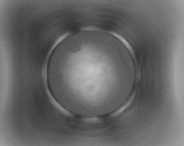 X0000114140957200910081302