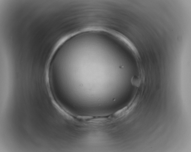 X0000114140958200910081302