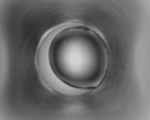 X0000114140960200910081302