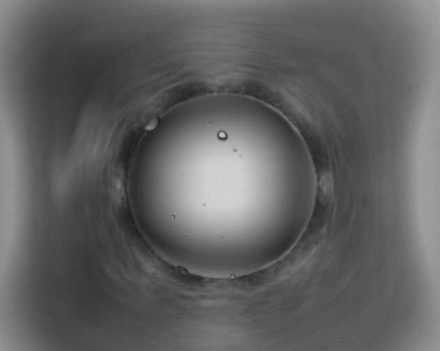 X0000114140963200910081302