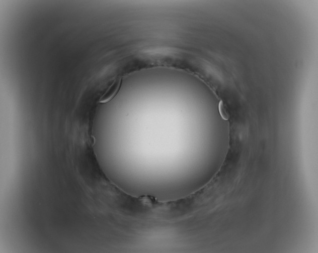 X0000114140965200910081301