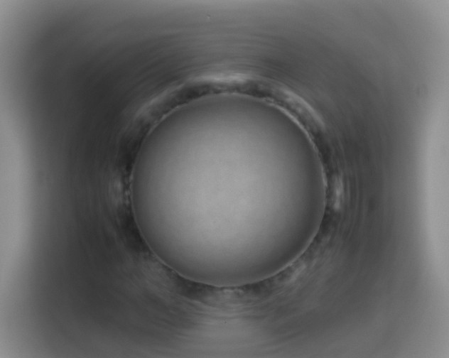 X0000114140966200910081301