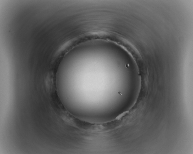 X0000114140968200910081301