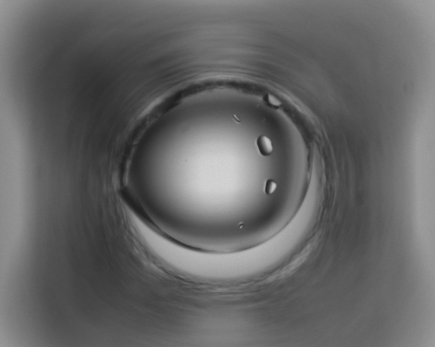 X0000114140969200910081301