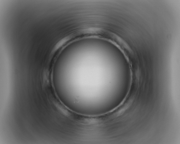 X0000114140970200910081301