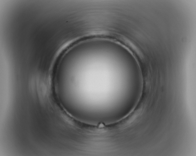 X0000114140975200910081301