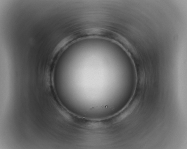 X0000114140978200910081301