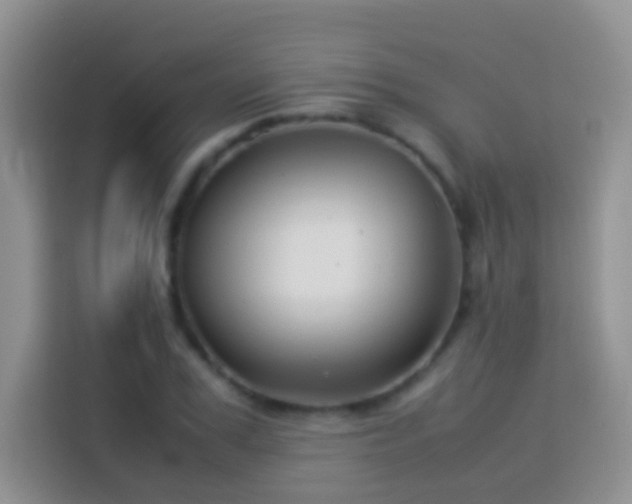 X0000114140979200910081301