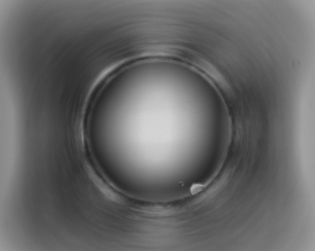 X0000114140980200910081301