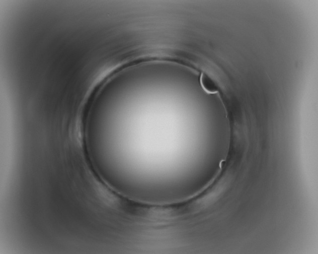 X0000114140981200910081301