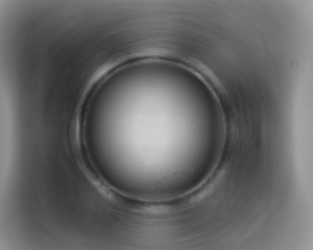 X0000114140982200910081301