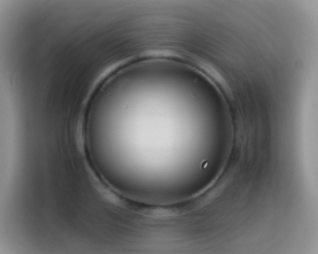 X0000114140984200910081301