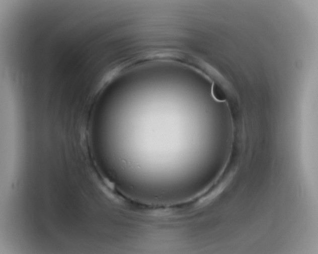 X0000114140985200910081301