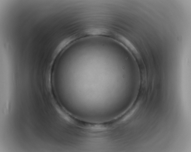 X0000114140986200910081301