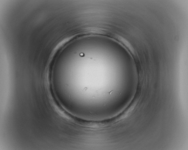 X0000114140987200910081301