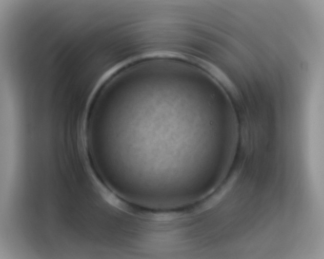 X0000114140988200910081301