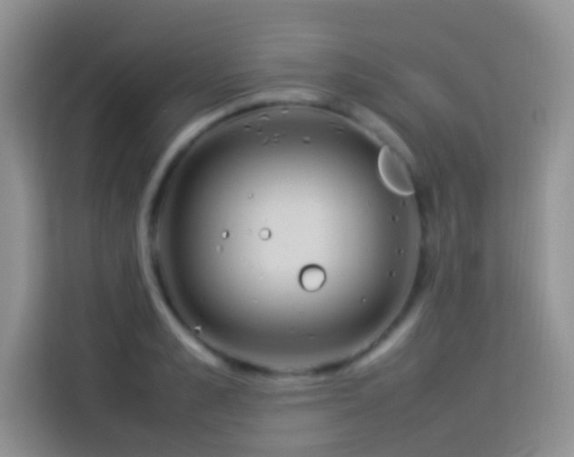 X0000114140989200910081301