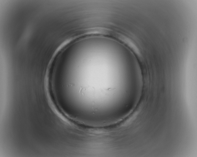 X0000114140991200910081301