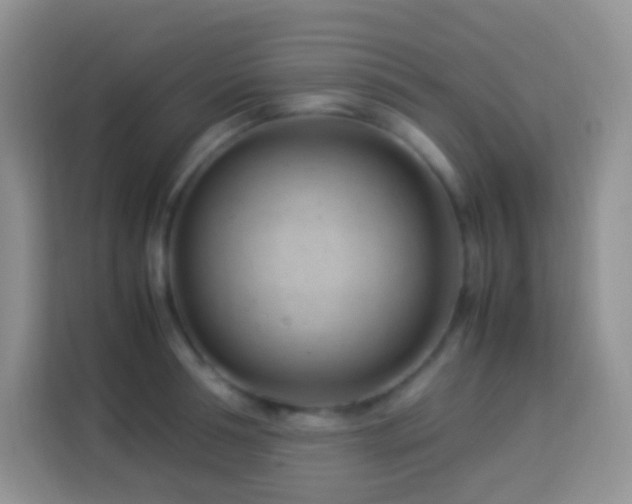 X0000114140994200910081301