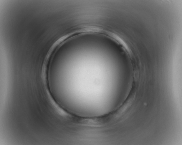 X0000114140995200910081301