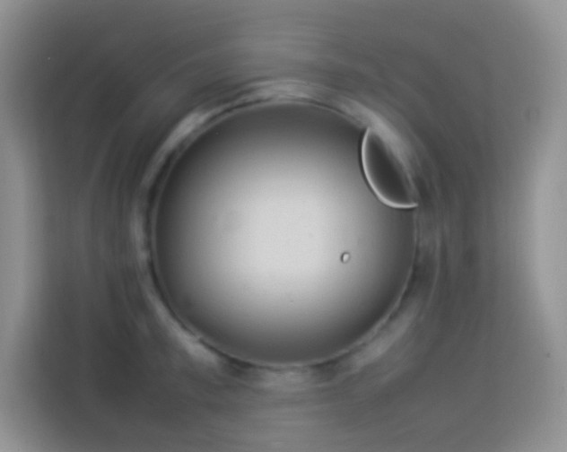 X0000114140997200910081301