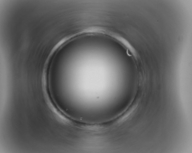 X0000114140999200910081301