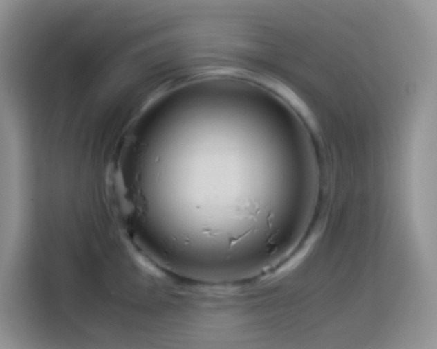 X0000114141001200910081301