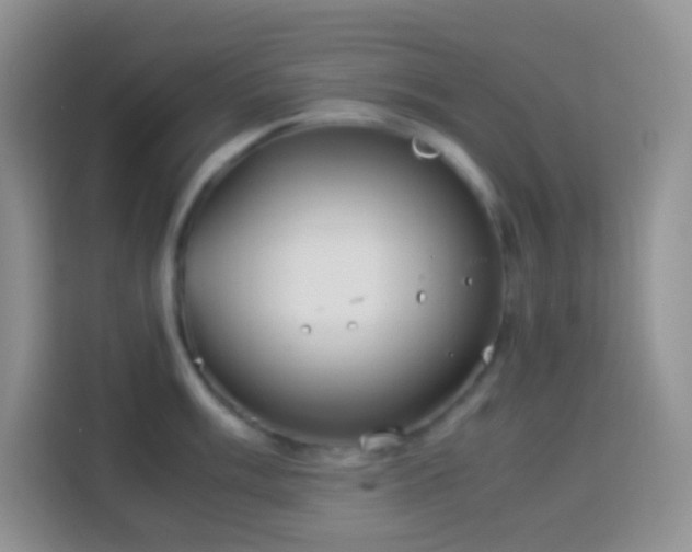 X0000114141003200910081301