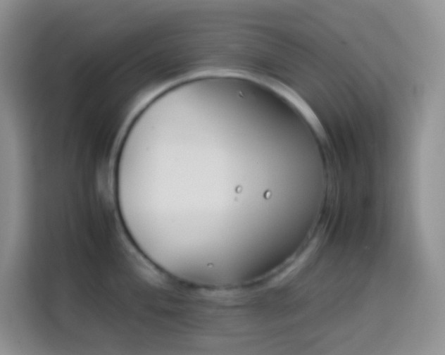 X0000114141004200910081301