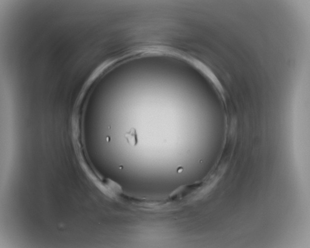 X0000114141005200910081301