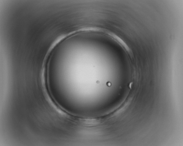 X0000114141007200910081301