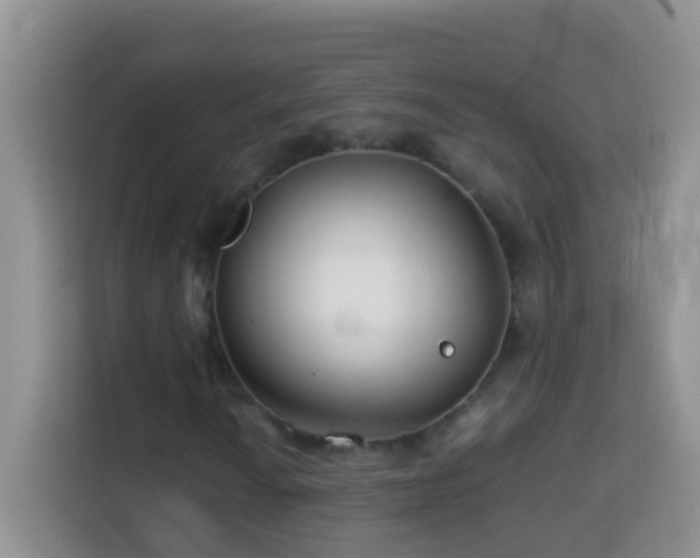 X0000114141010200910081300