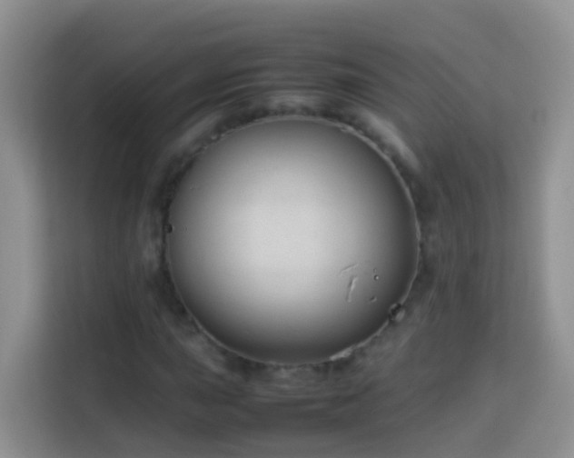 X0000114141015200910081300