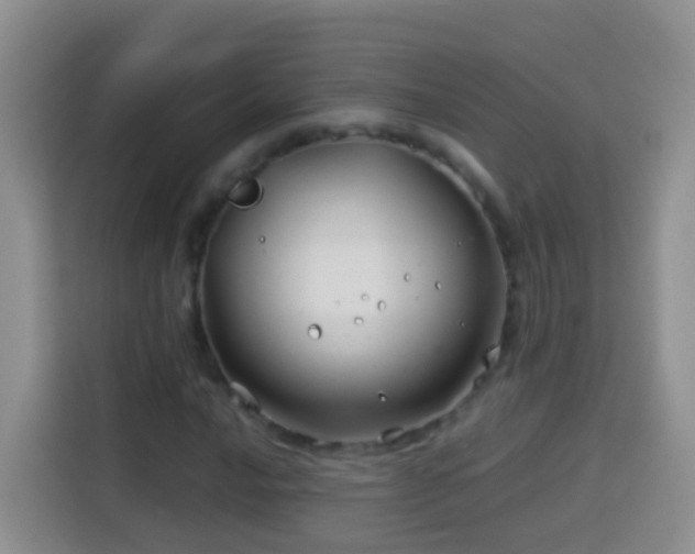 X0000114141016200910081300