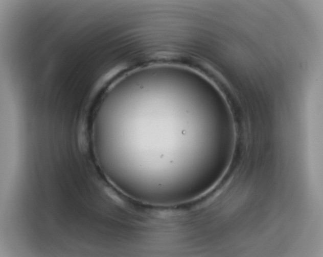 X0000114141018200910081300