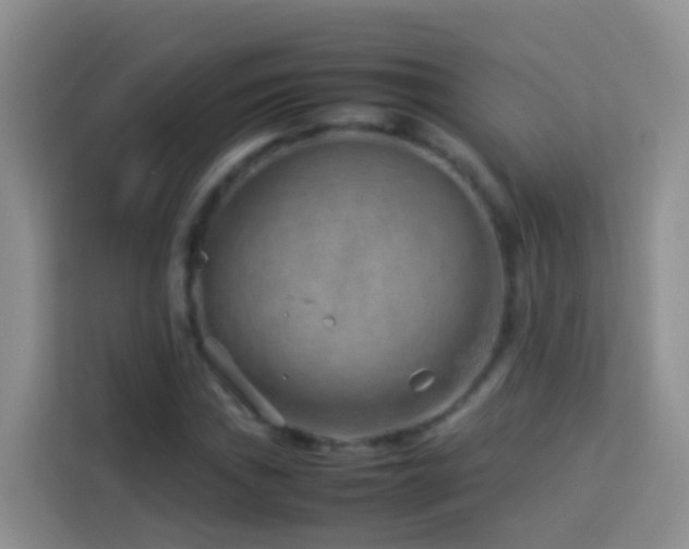 X0000114141019200910081300