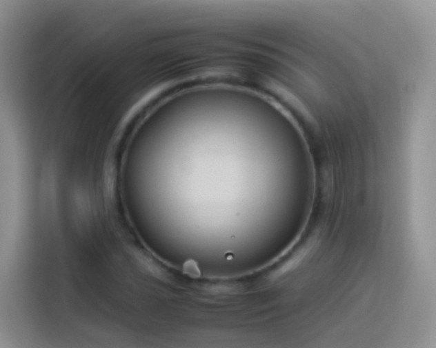 X0000114141021200910081300